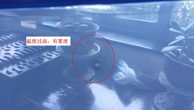 注塑制品质量缺陷分析（六）造成制品表面有雾度的主要原因是什么？